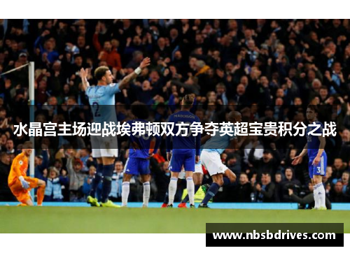 水晶宫主场迎战埃弗顿双方争夺英超宝贵积分之战